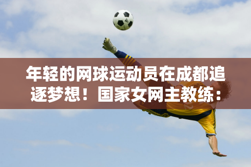 乃至提升整